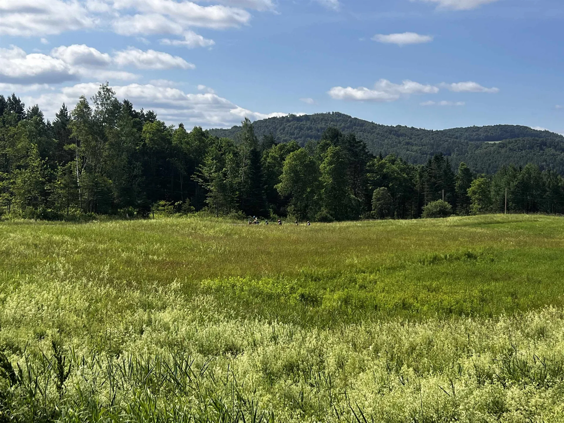 0000 Darling Hill Road Lyndon VT 05849