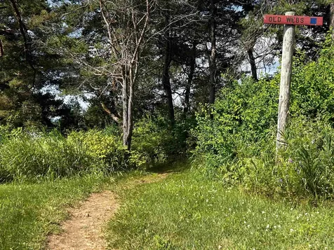0000 Darling Hill Road Lyndon VT 05849