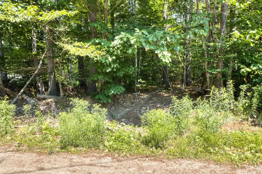 0 Pike Lane Tamworth NH 03886