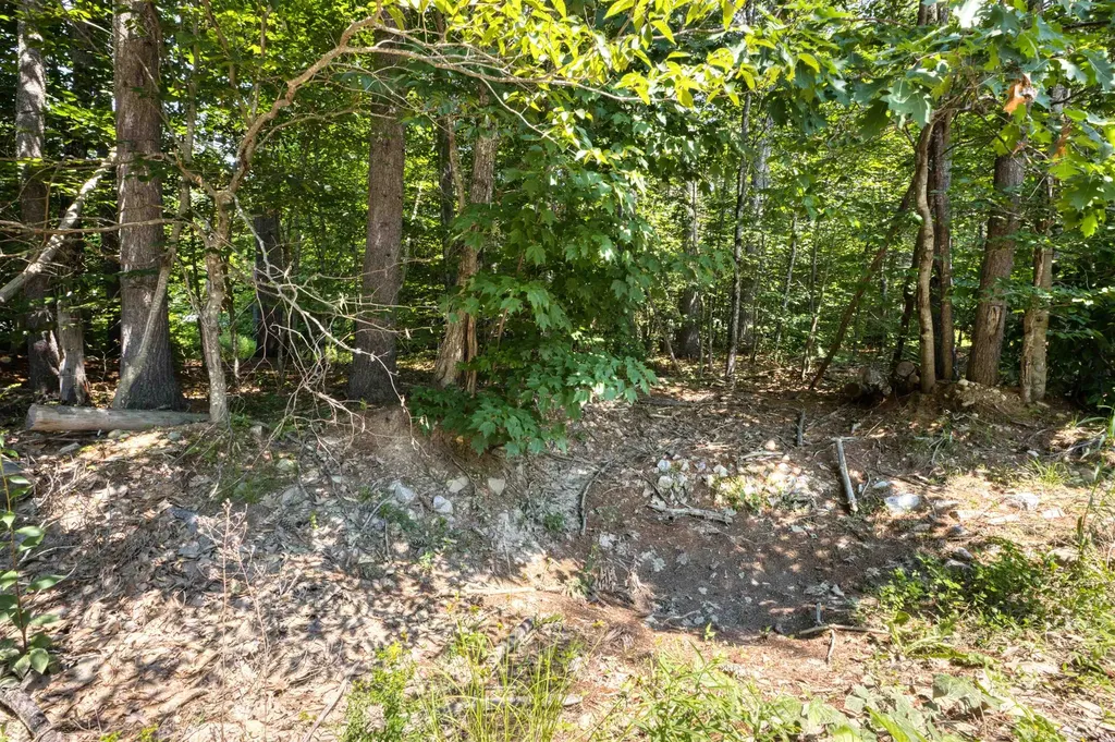 0 Pike Lane Tamworth NH 03886
