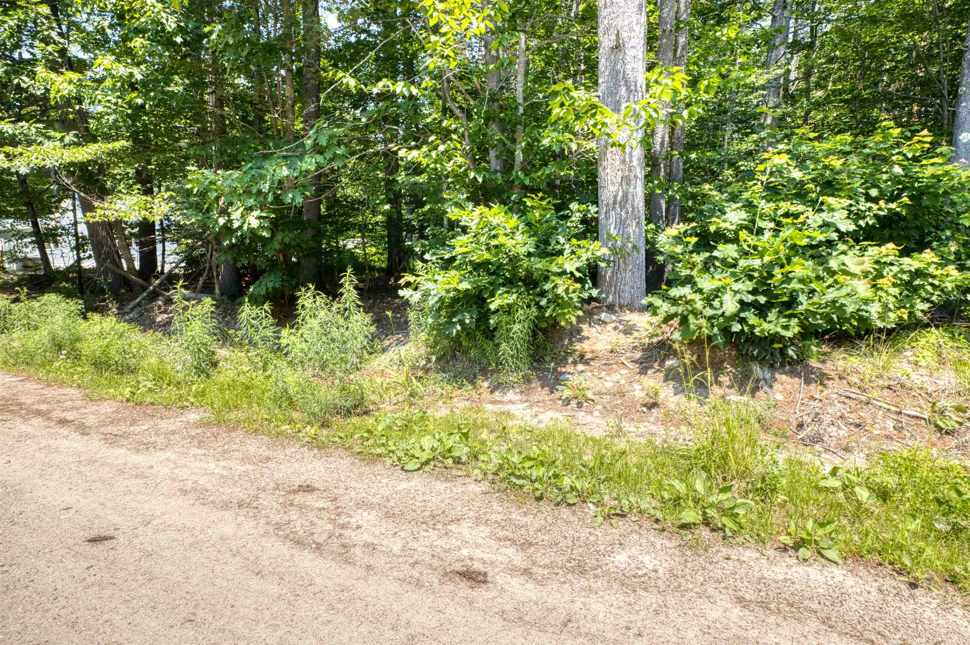Tamworth NH, Pike Lane