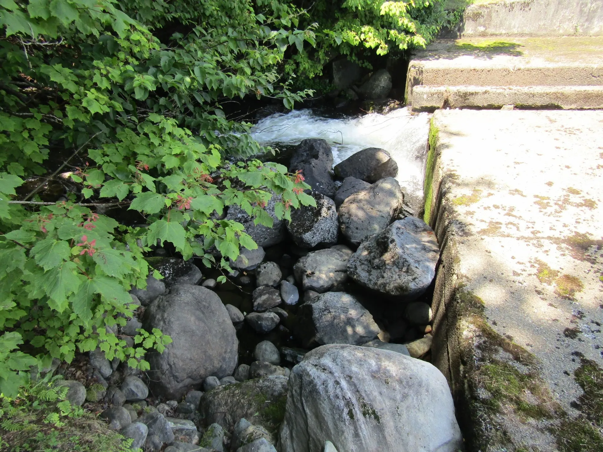21 Pine Grove Lane Eden VT 05453