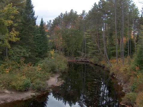 258 Pine River Road Effingham NH 03882