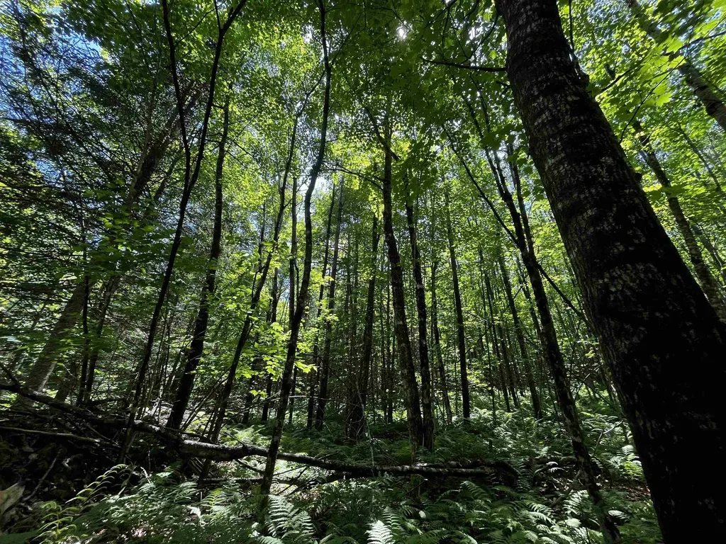 00 Leclair Road Concord VT 05824