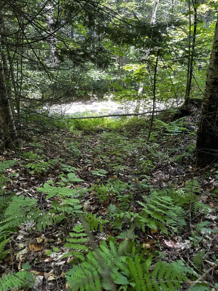 00 Leclair Road Concord VT 05824