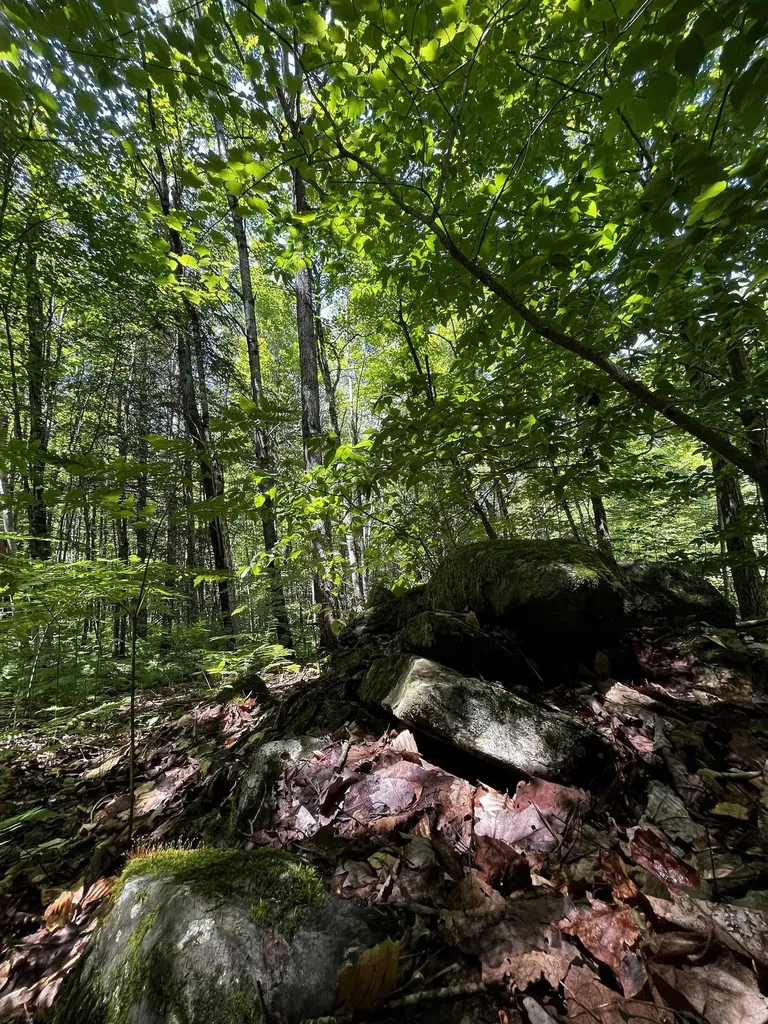 00 Leclair Road Concord VT 05824