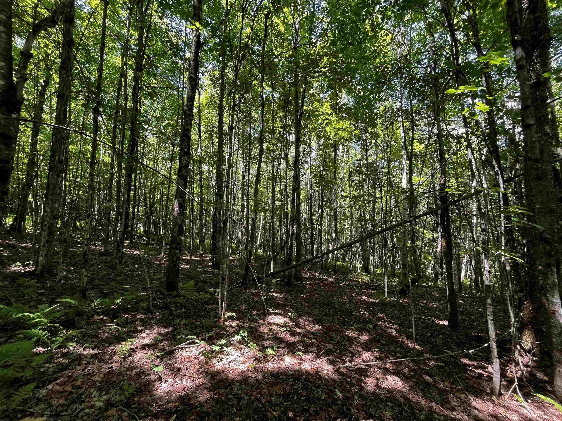 00 Leclair Road Concord VT 05824
