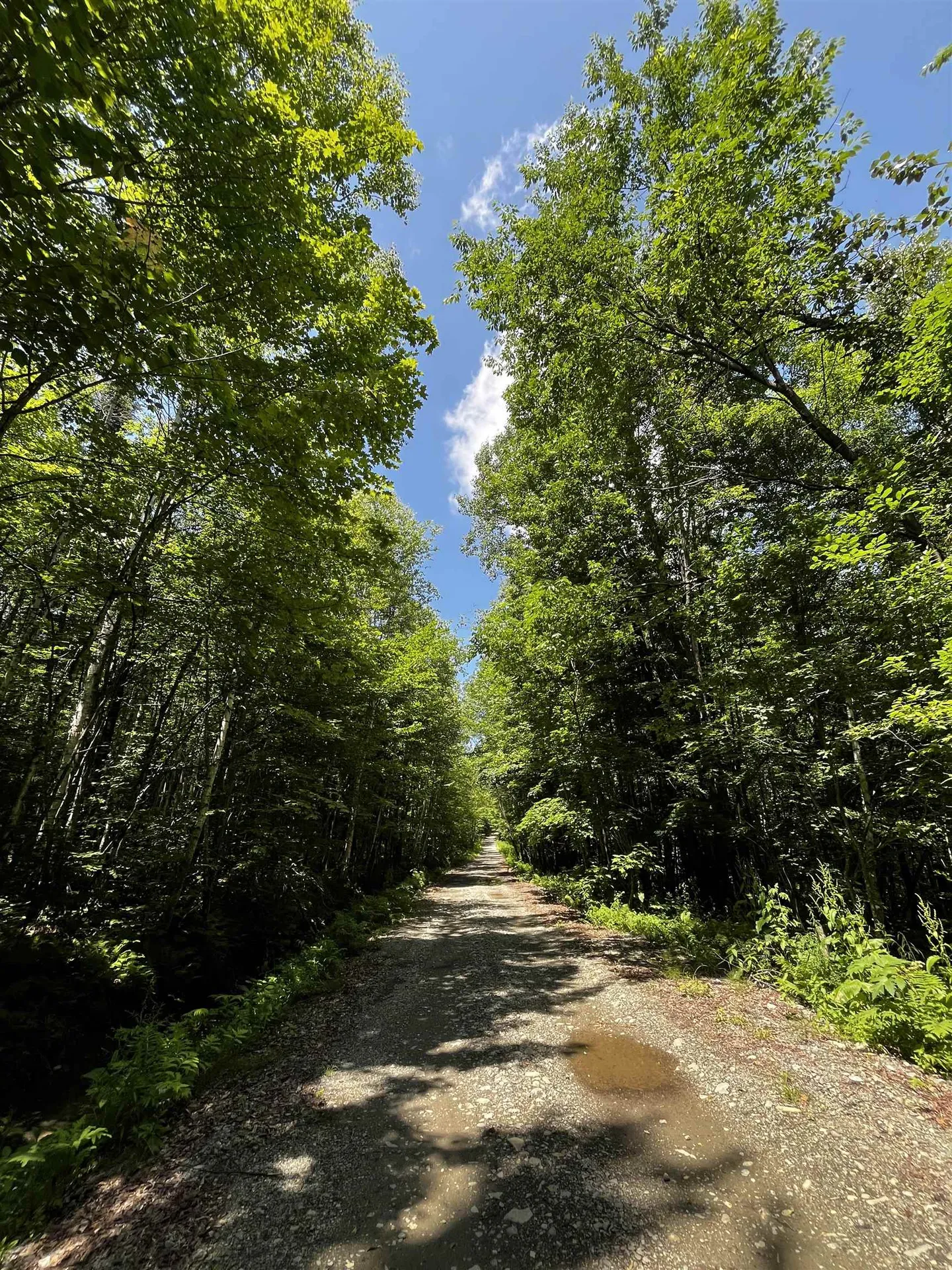 00 Leclair Road Concord VT 05824