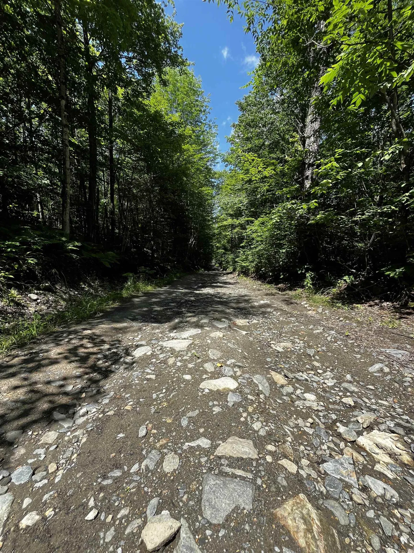 00 Leclair Road Concord VT 05824