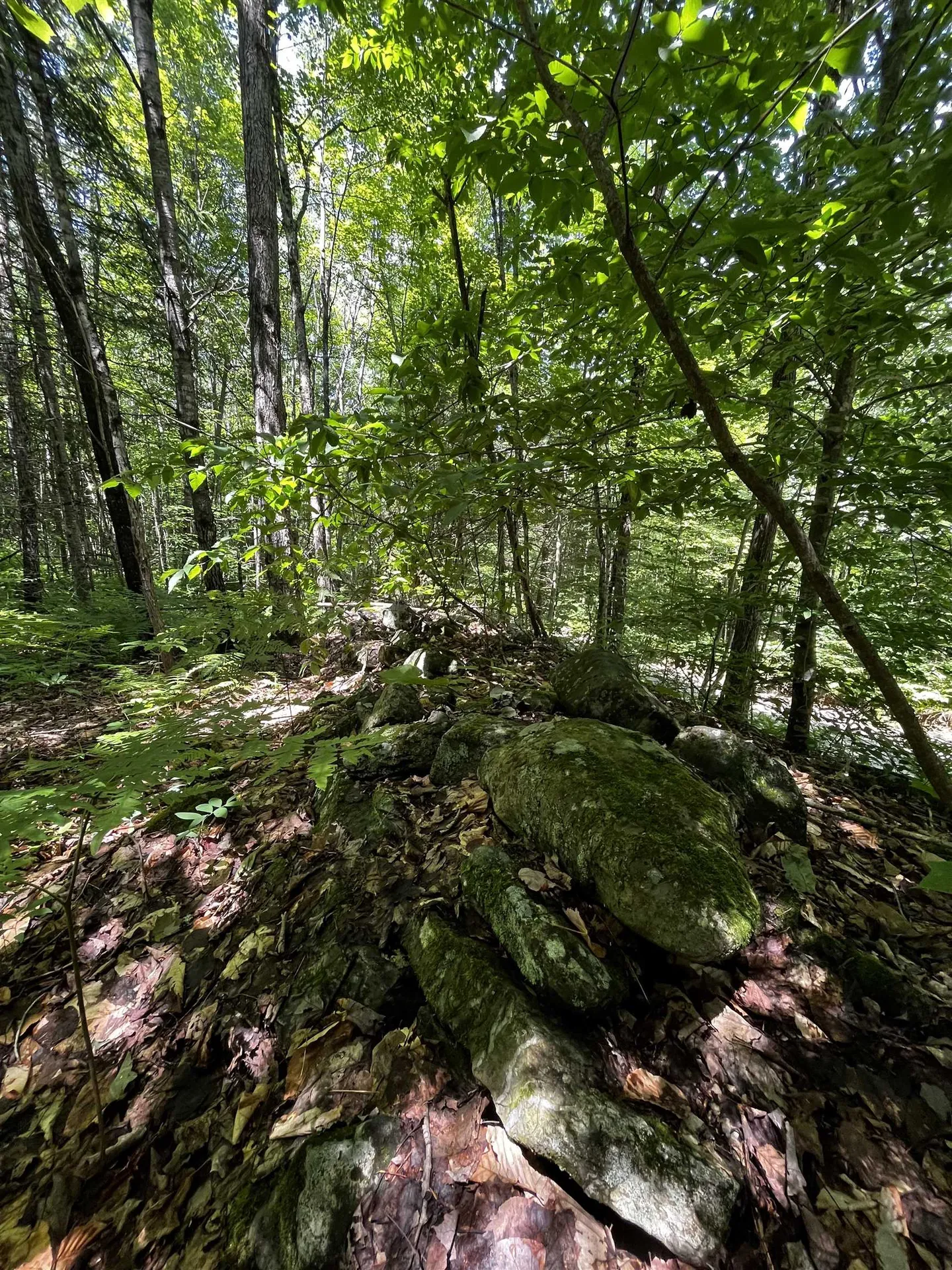 00 Leclair Road Concord VT 05824