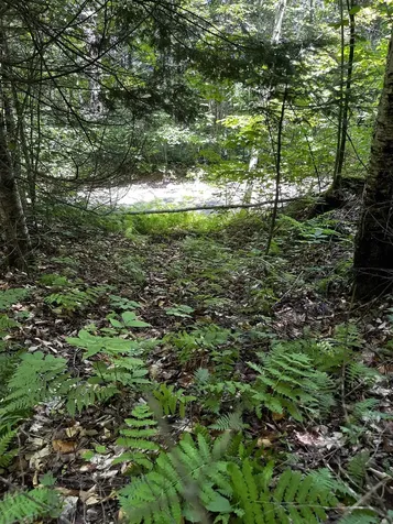 00 Leclair Road Concord VT 05824