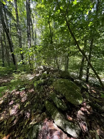 00 Leclair Road Concord VT 05824