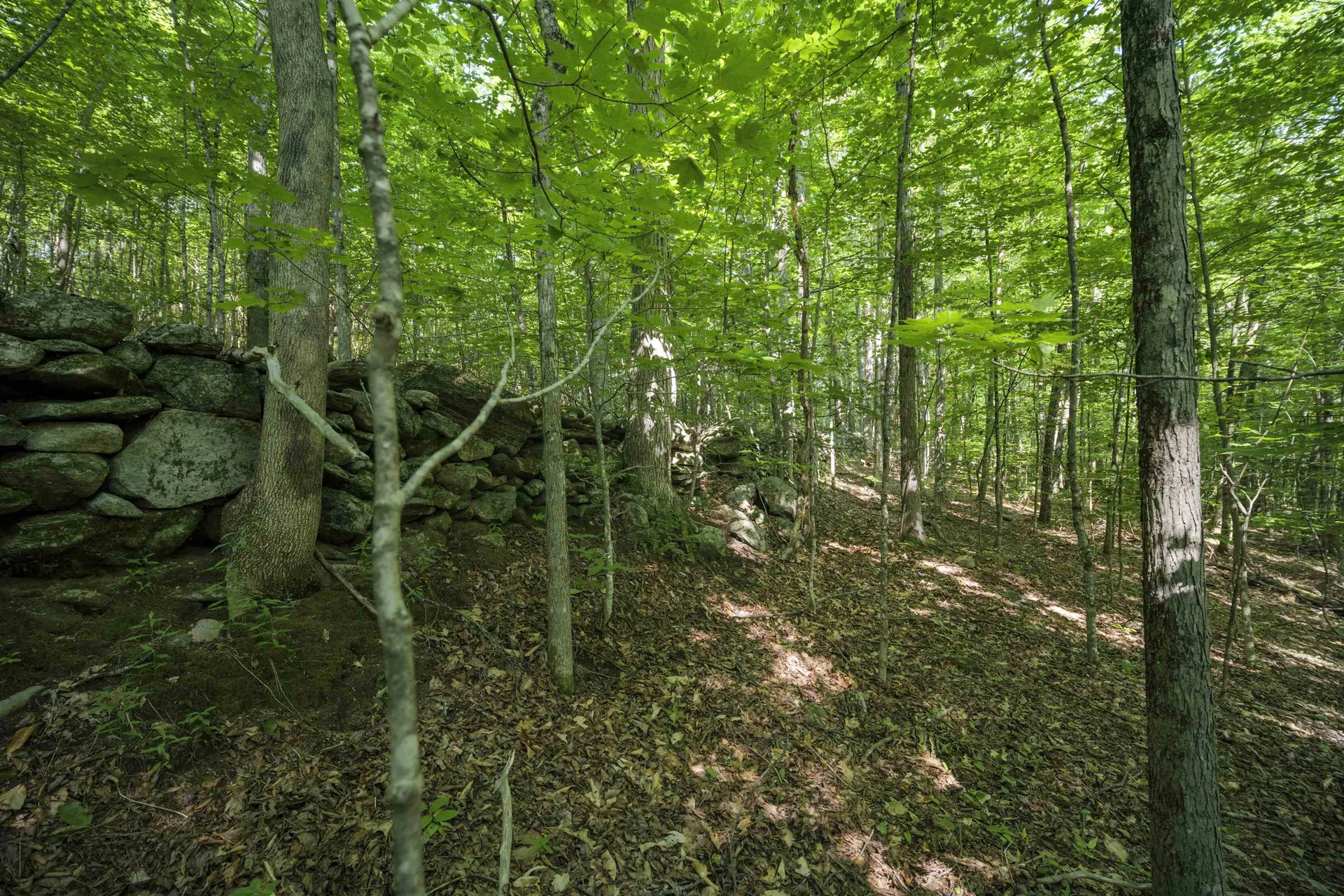 00 Howe Farm Road Jamaica VT 05343