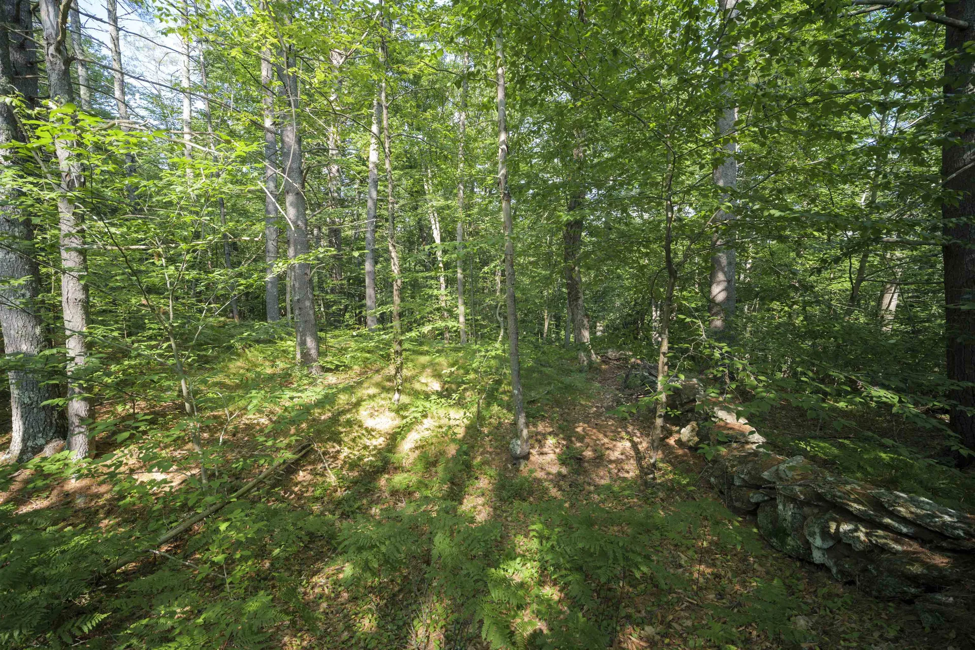 00 Howe Farm Road Jamaica VT 05343