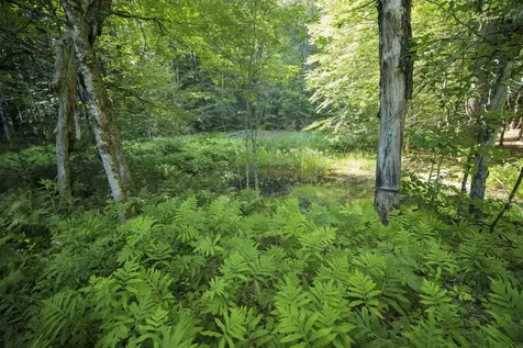 00 Howe Farm Road Jamaica VT 05343