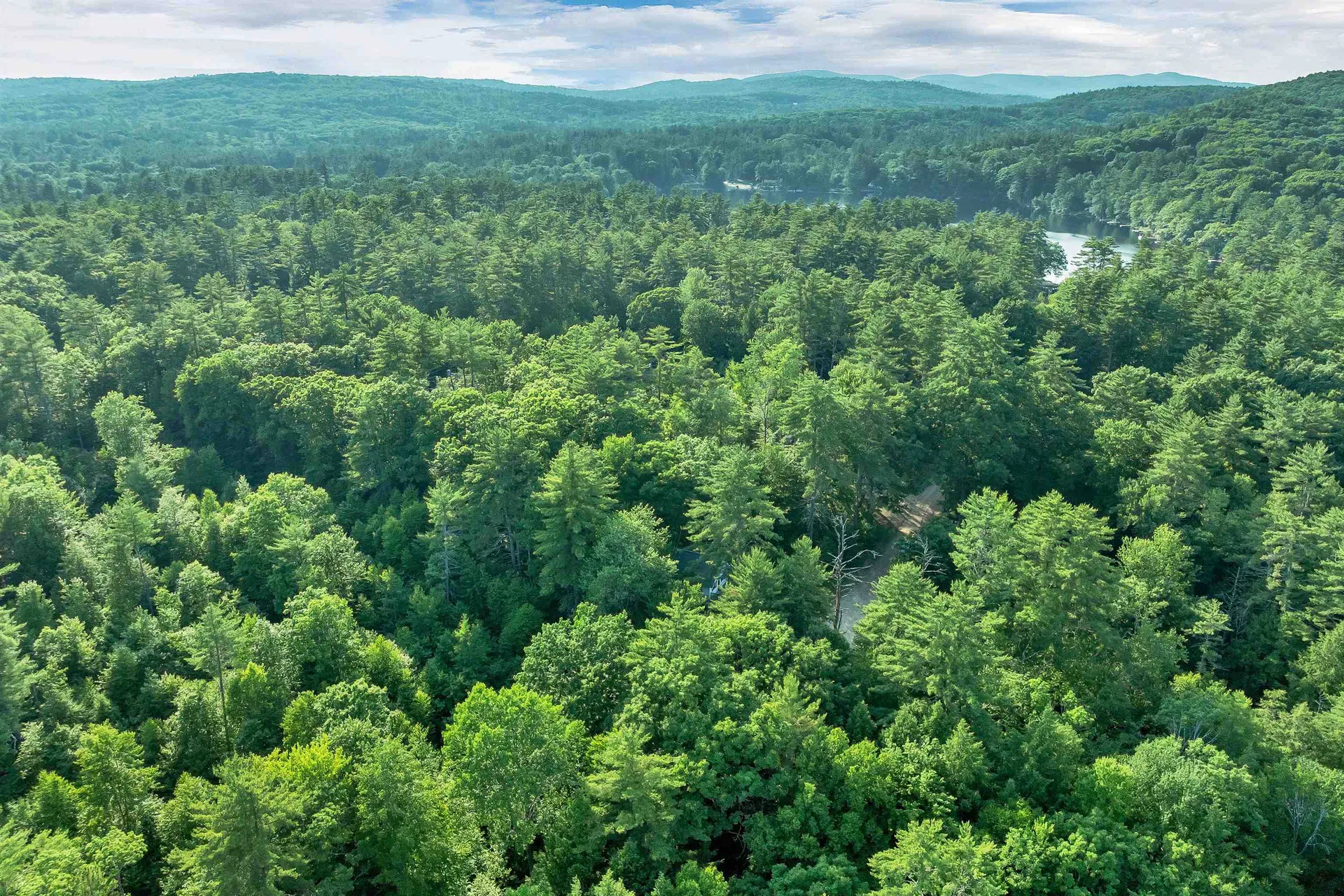 21 Birch Tree Lane Hillsborough NH 03244