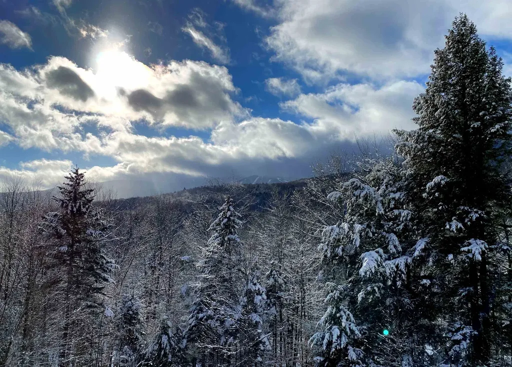 52 Mansfield Road Fayston VT 05673