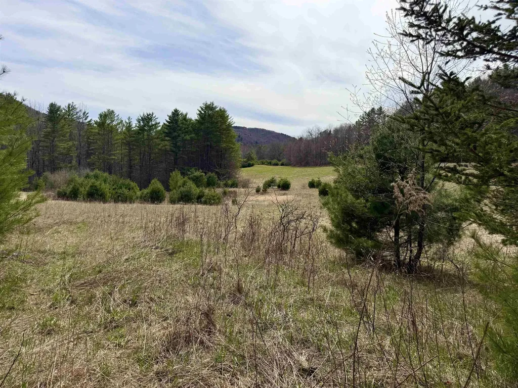 137 Foundry Road Tunbridge VT 05077