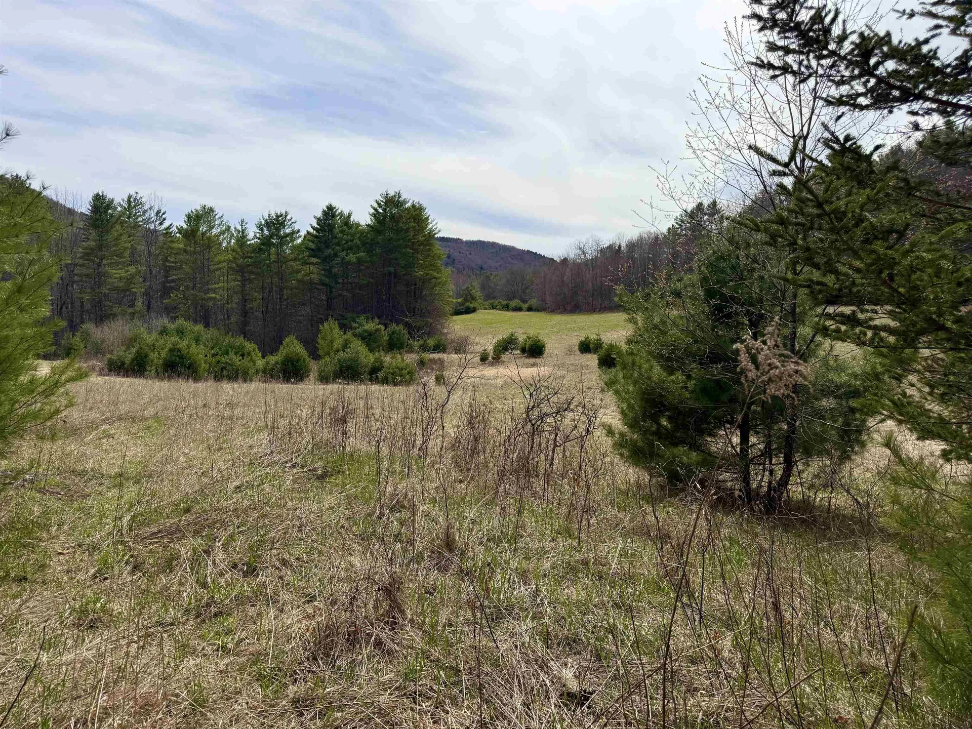 137 Foundry Road Tunbridge VT 05077