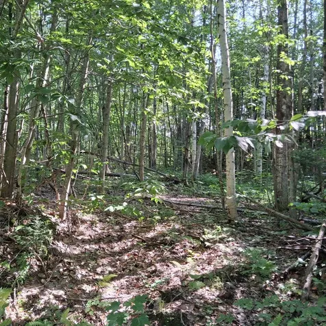 0000 Ballground Road Westfield VT 05874