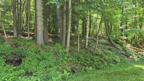 36 Old Route 12 N Road Westmoreland NH 03467