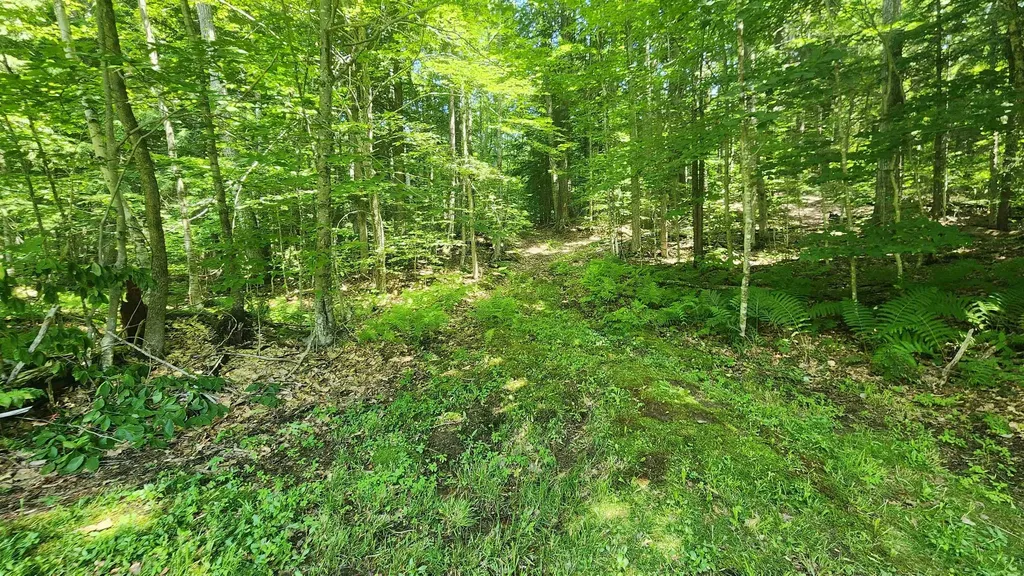 1372 Potash Brook Road Chester VT 05143