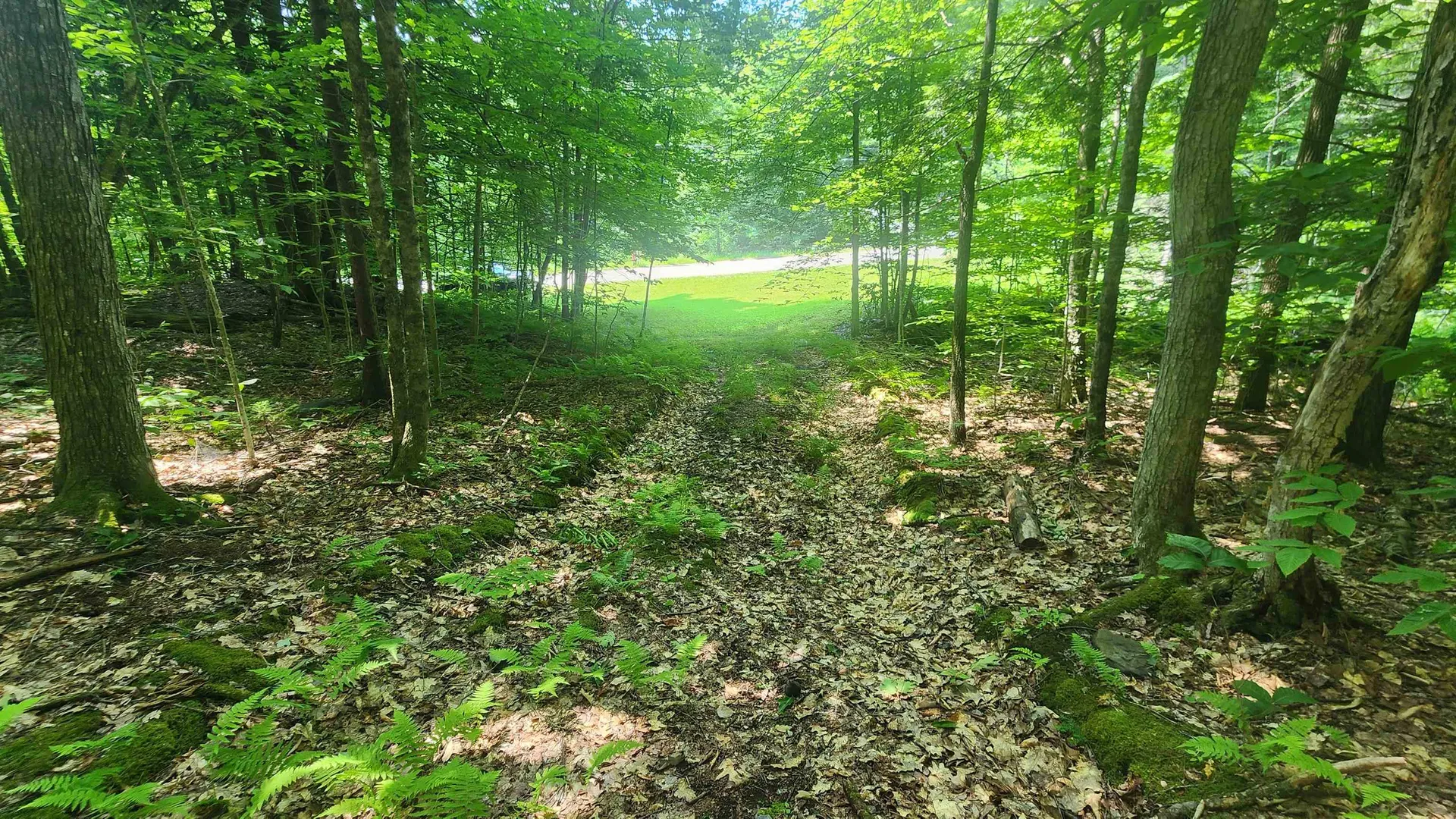 1372 Potash Brook Road Chester VT 05143
