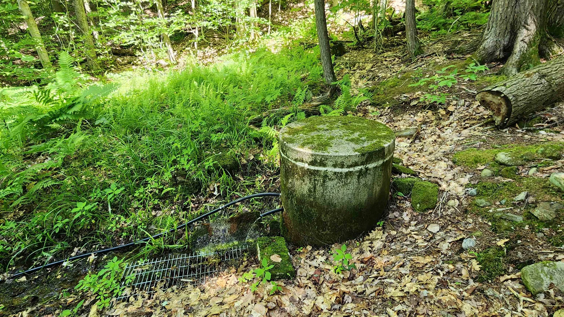 1372 Potash Brook Road Chester VT 05143