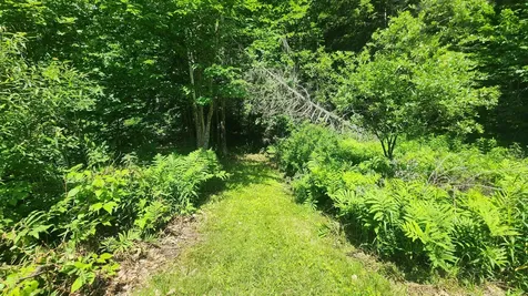 1372 Potash Brook Road Chester VT 05143
