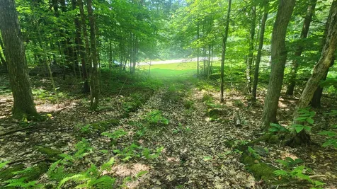 1372 Potash Brook Road Chester VT 05143