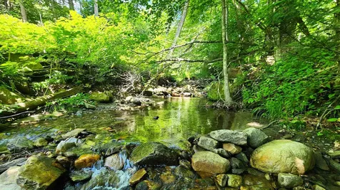 1372 Potash Brook Road Chester VT 05143