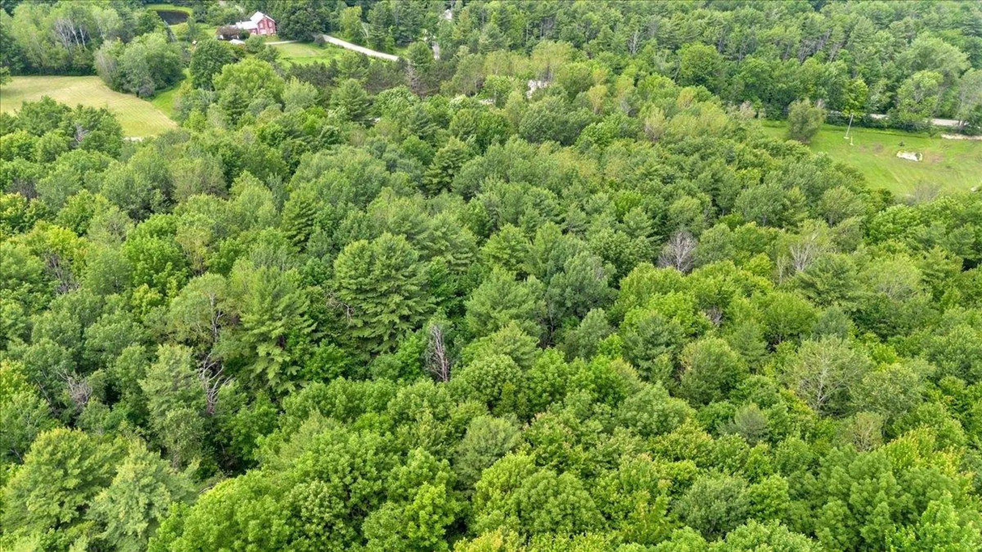 45 Old County Lane Richmond VT 05477