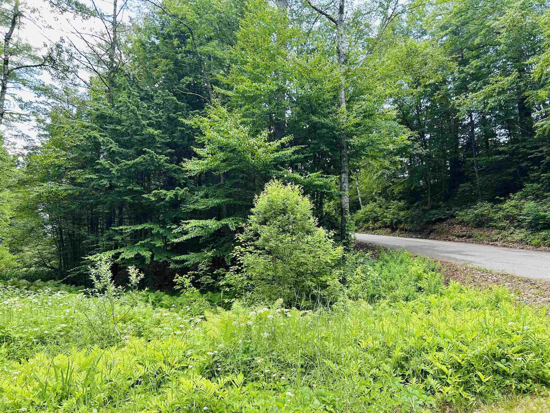 Highland Street Whitefield NH 03598