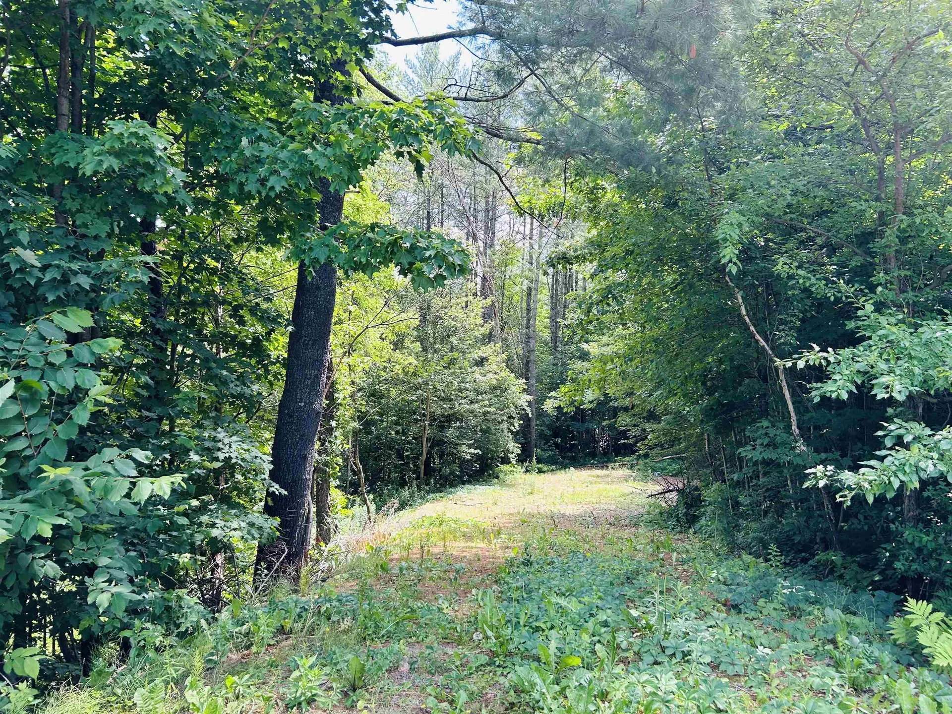 Highland Street Whitefield NH 03598