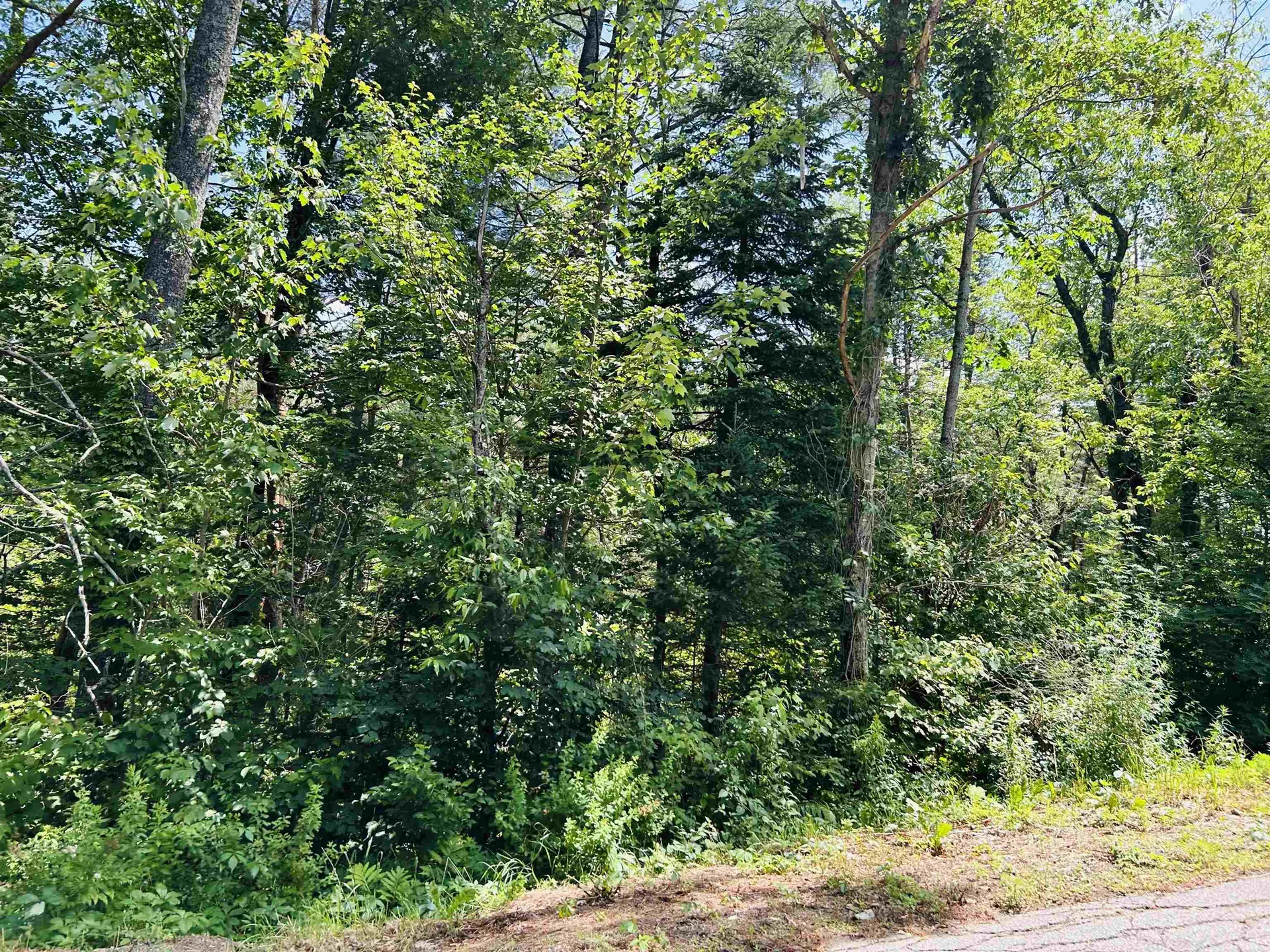 Highland Street Whitefield NH 03598