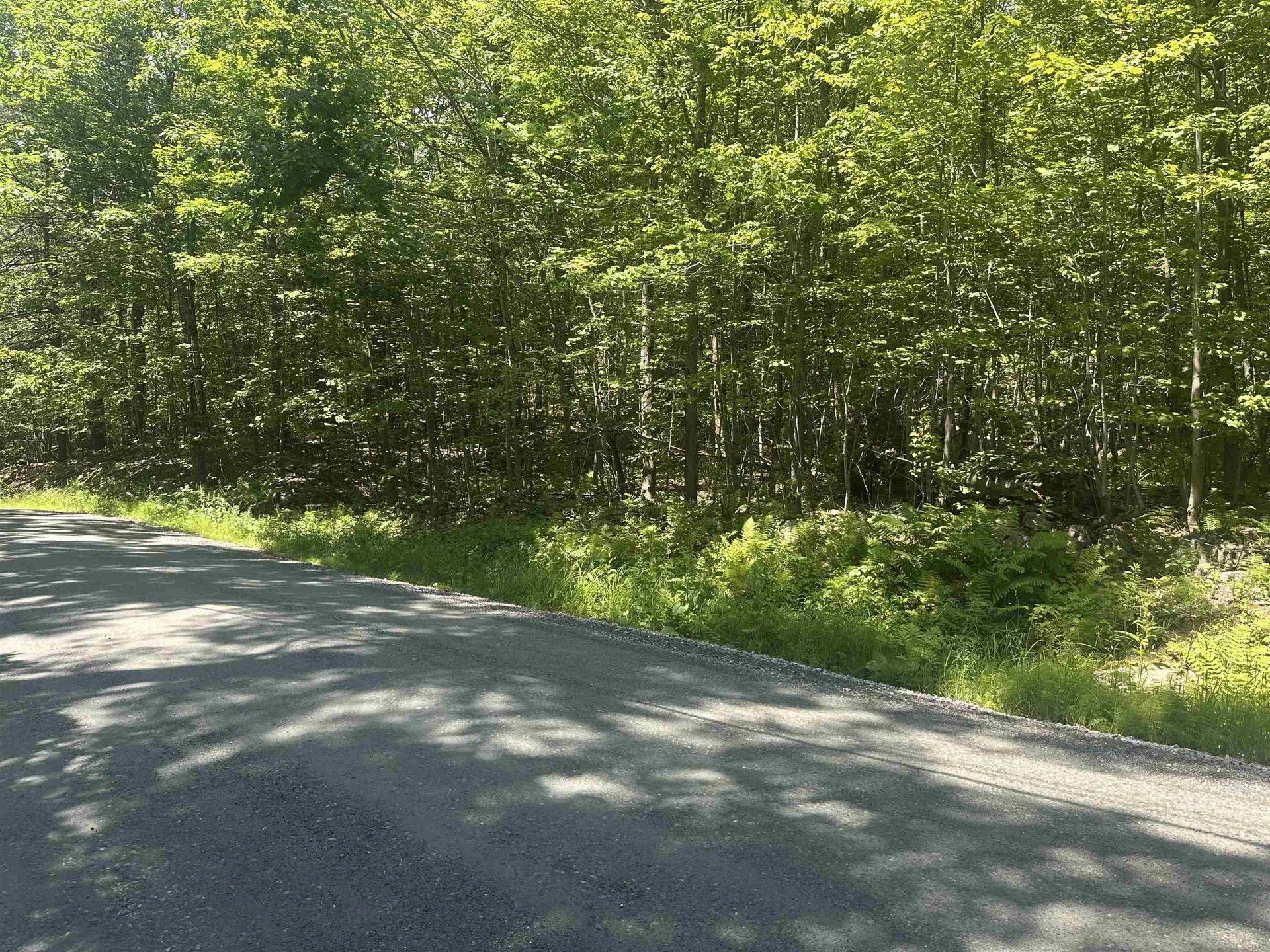 Lot 157 Old Province Road Newbury NH 03255