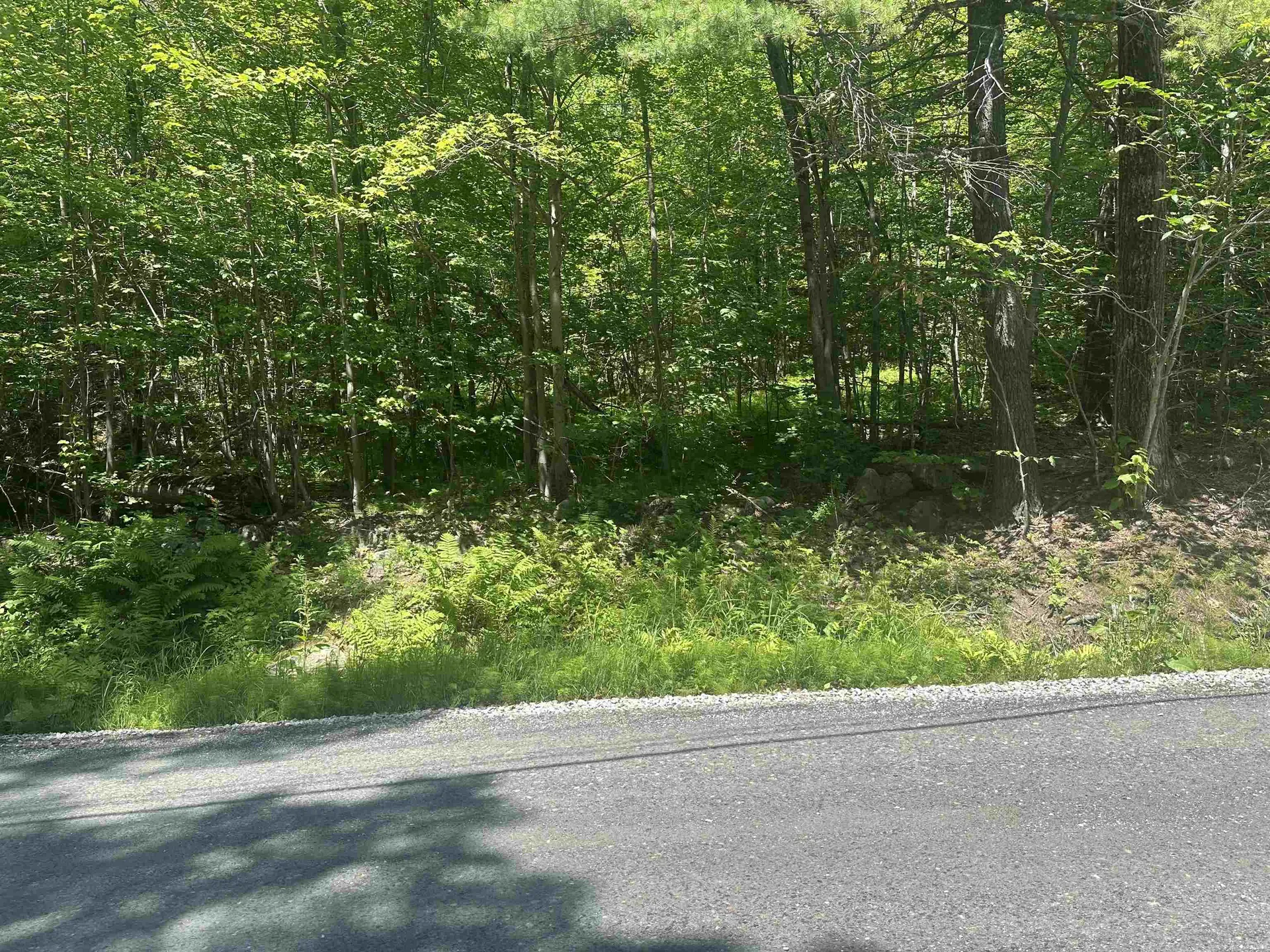 Lot 157 Old Province Road Newbury NH 03255
