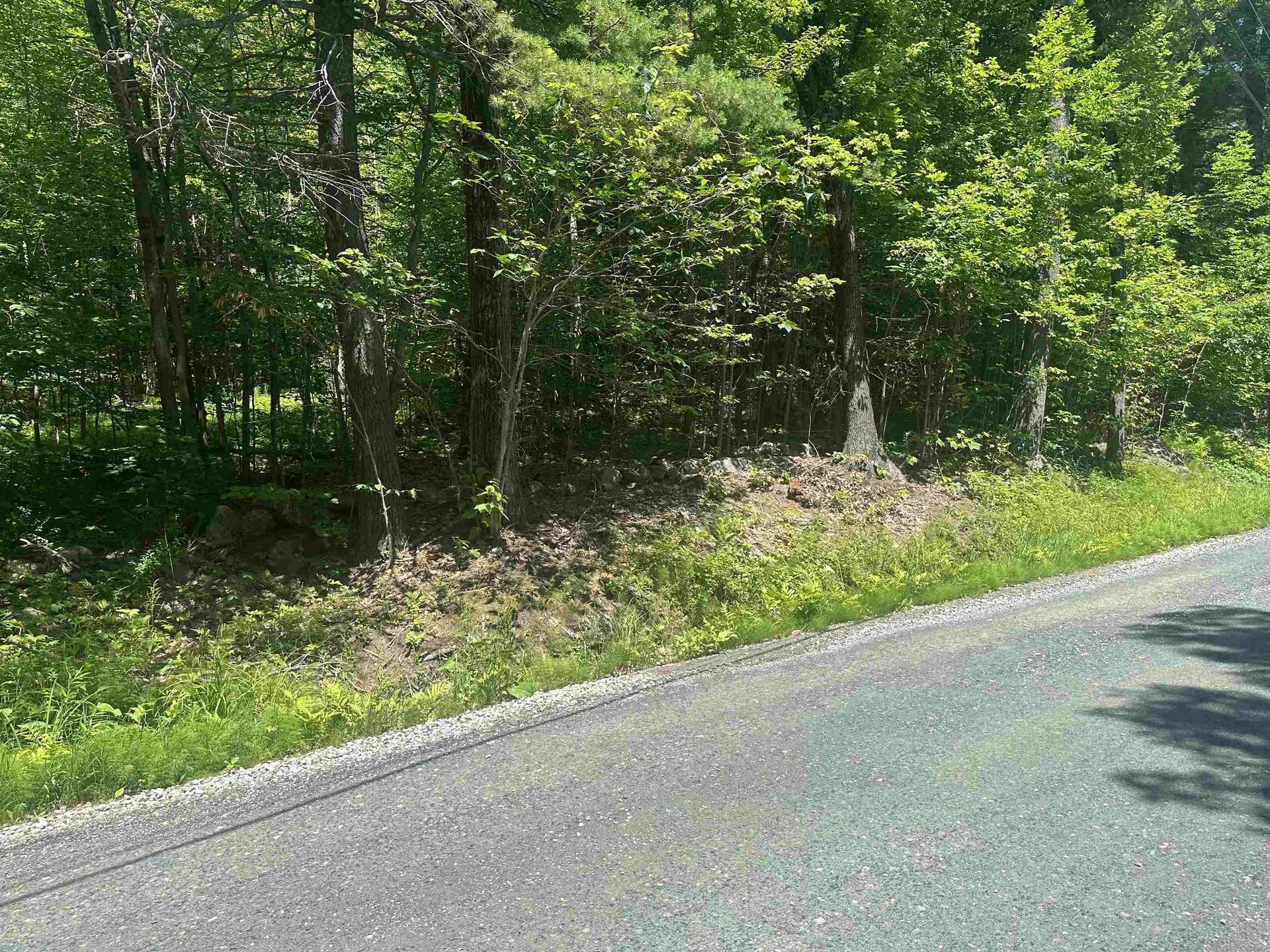 Lot 157 Old Province Road Newbury NH 03255