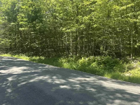 Lot 157 Old Province Road Newbury NH 03255