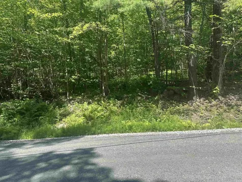 Lot 157 Old Province Road Newbury NH 03255