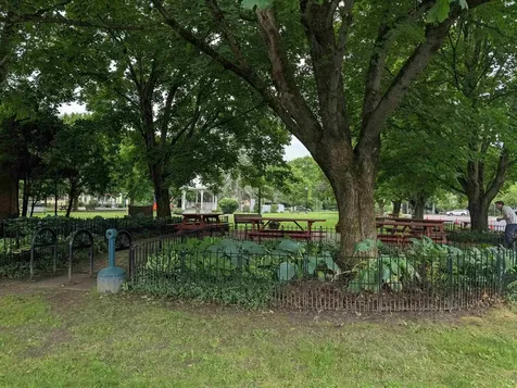 7 Park Street Waterbury VT 05672