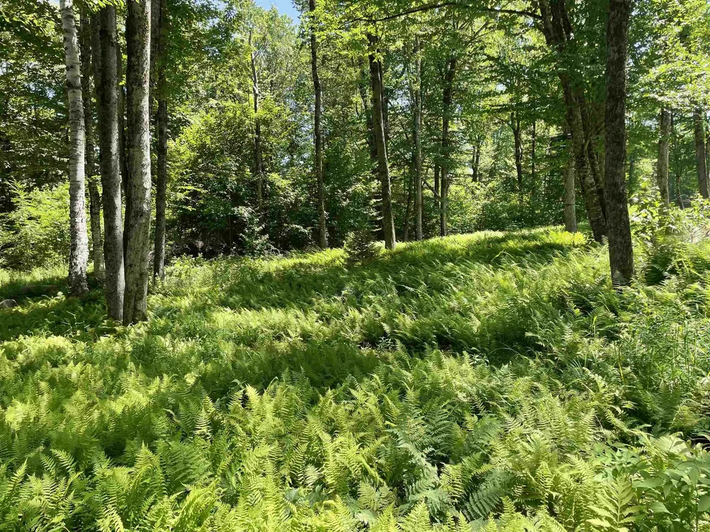 1408 Hatch School Road Halifax VT 05358