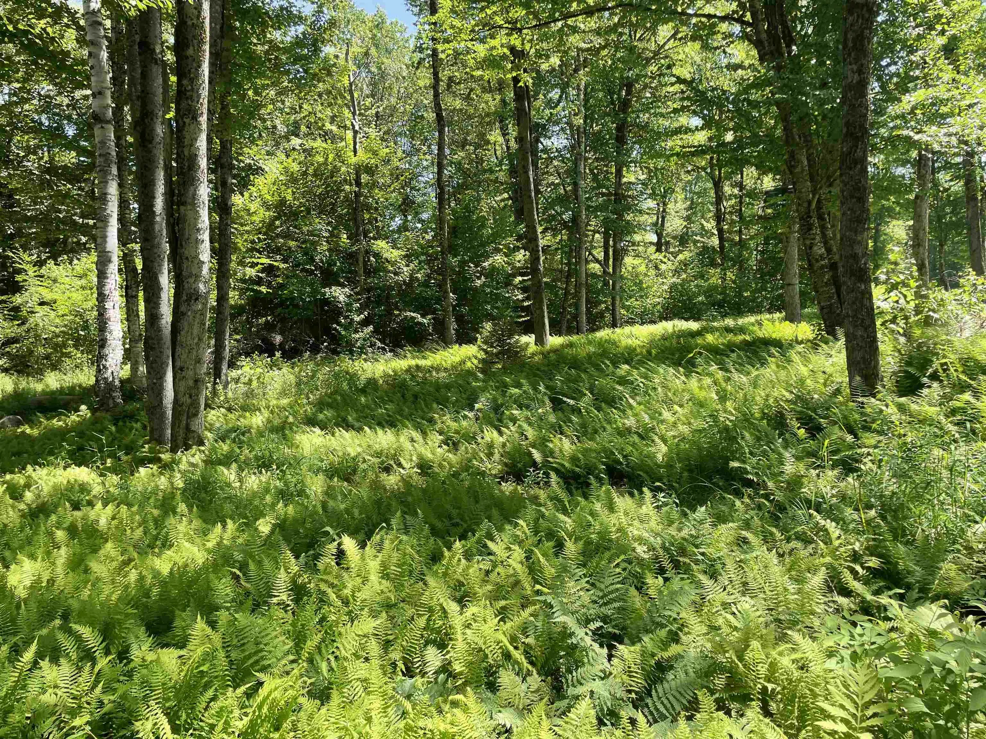1408 Hatch School Road Halifax VT 05358