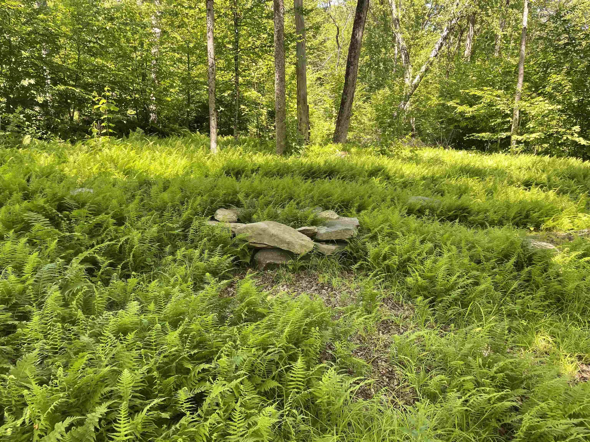 1408 Hatch School Road Halifax VT 05358