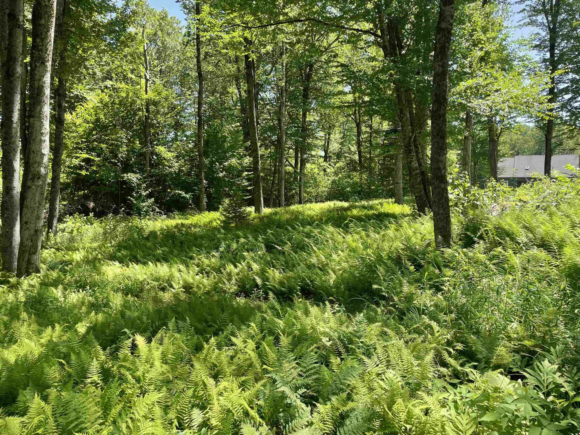 1408 Hatch School Road Halifax VT 05358