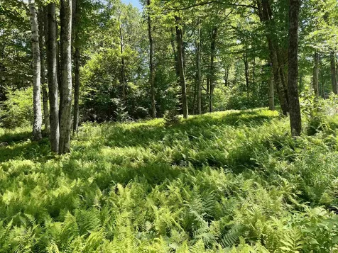 1408 Hatch School Road Halifax VT 05358