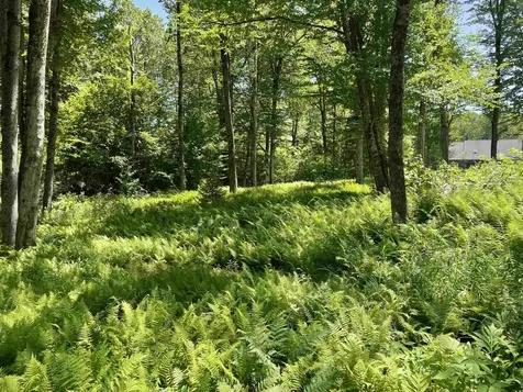 1408 Hatch School Road Halifax VT 05358