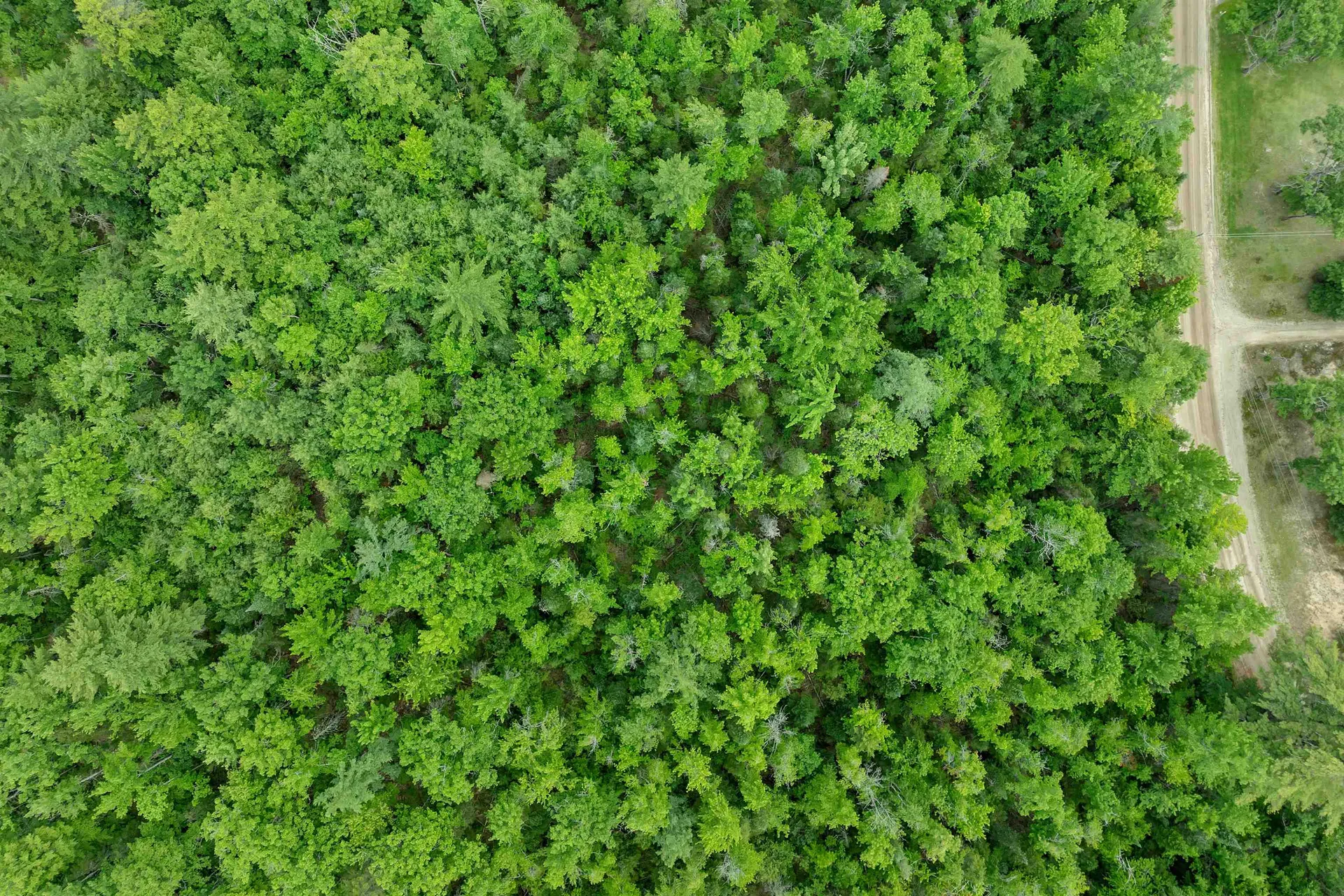Lot 417-46 Stevens Road Effingham NH 03882