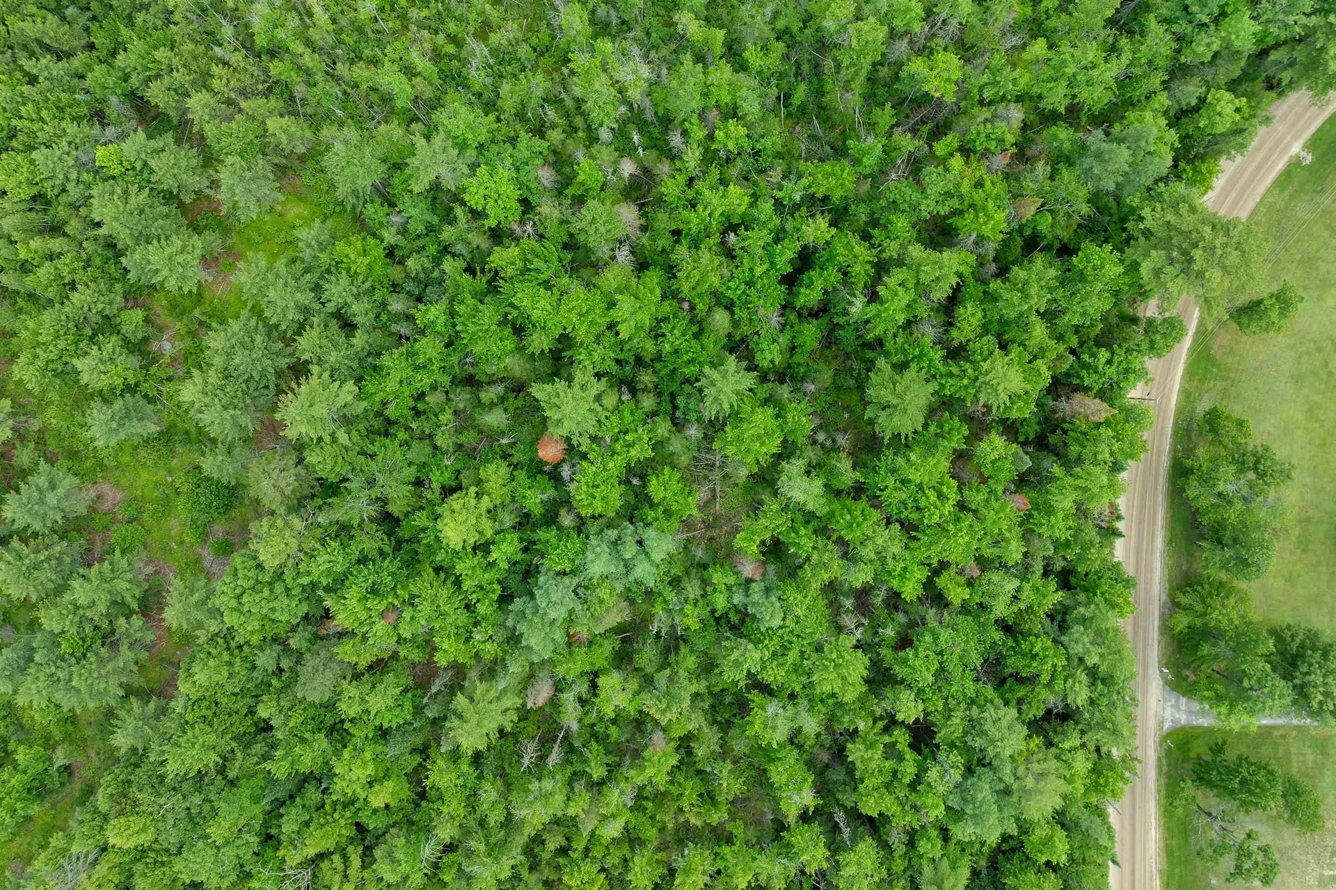 Lot 417-46 Stevens Road Effingham NH 03882