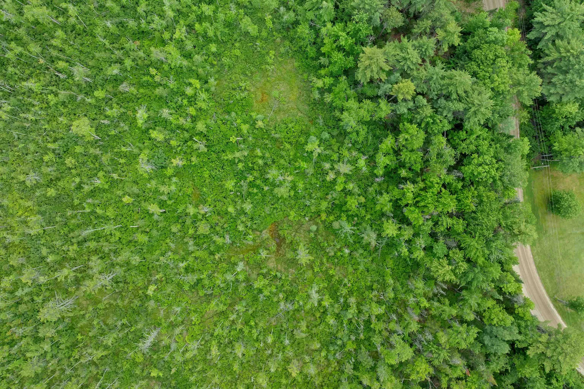 Lot 417-46 Stevens Road Effingham NH 03882